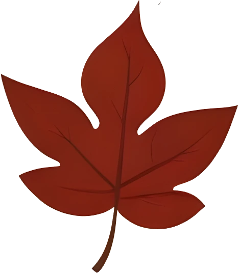 rendy Foliage Design, Leaf PNG Download, Tropical different type exotic leaves set_1.webp